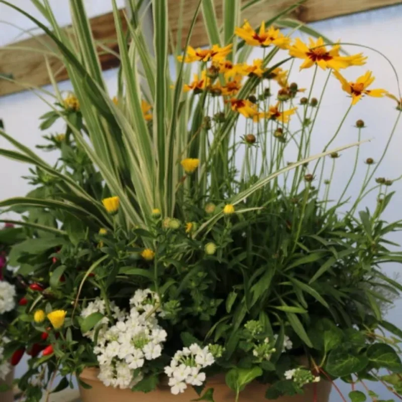 14 inch Container